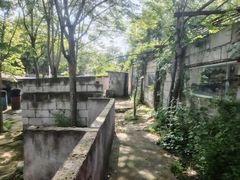 -东湖小天池真人CS彩弹野战基地