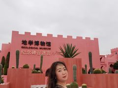 -漳州滨海火山岛自然生态风景区