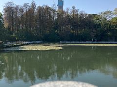 -荔枝公园(福田区)