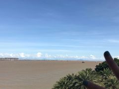 -大湾区中央湿地公园