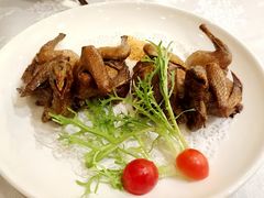脆皮乳鸽-龙汇酒家(沪闵路店)
