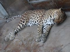 -西安秦岭野生动物园