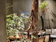 -森SPA·泰式按摩·精油Massage(宝安中心店)