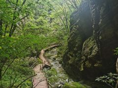 -牛背梁国家森林公园