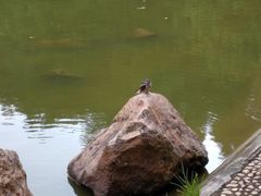 -黄埔荔枝公园