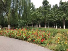 -永定河休闲森林公园