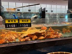 -龙宴海鲜城(经中路店)