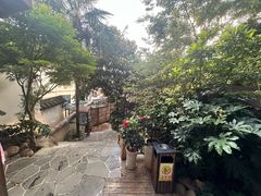 -云涛森林温泉