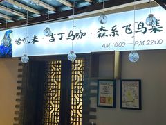 -吉丁鸟咖·异宠·寄养