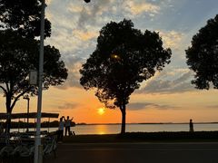 -漕湖湿地公园