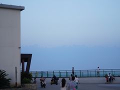 -枸杞岛