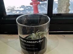 -Fridi Patisserie Cafe