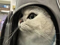 -芭比堂爱心动物医院·心脏科·犬猫内科(越城可乐分院)