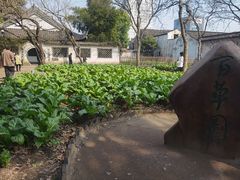 -绍兴鲁迅故里·沈园景区