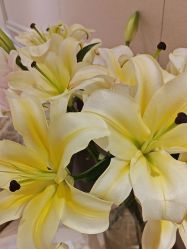 点击看大图 -北京俪婴妇产医院(朝阳大悦城店)