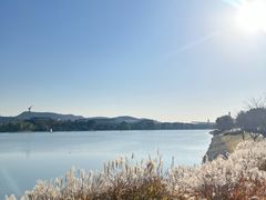 -羊山湖公园