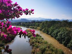 -中国科学院西双版纳热带植物园
