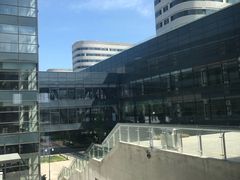 -首都医科大学附属北京天坛医院
