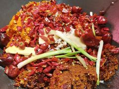 -朱光玉火锅馆(正弘城店)