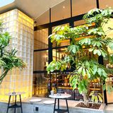重庆探店｜感受“皮囊之下”的餐厅