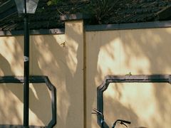 -颐和路民国时期公馆风貌区