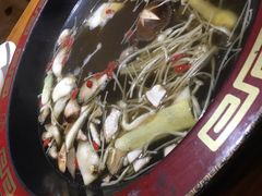 -庄老幺火锅(娄山关路店)