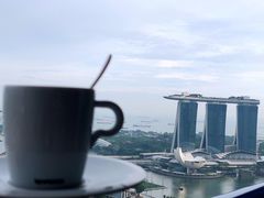 -新加坡瑞士史丹福酒店