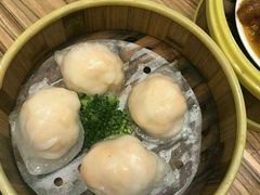 -粤港餐厅(禹州商业广场店)