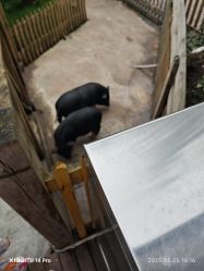 -三分地生态园·儿童乐园