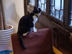 -猫的天空之城概念书店(杭州南宋御街店)