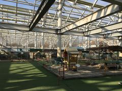 -南宫五洲植物乐园