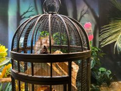 -酷嗒动物文化乐园(cutezoo西溪乐天城店)