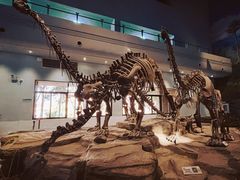 -自贡恐龙博物馆