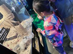 -太平洋海底世界