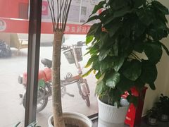 -张钰强中医正骨推拿连锁(唐家人才公寓店)