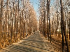 -嵖岈山风景区