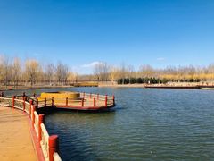 -东郊湿地公园