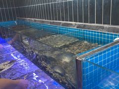 -海韵之星邮轮水会(明发商业广场店)