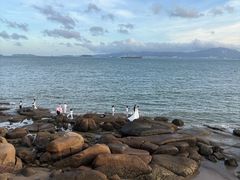 -白城沙滩