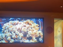 -滇野云南野生菌餐厅(陕西南路店)