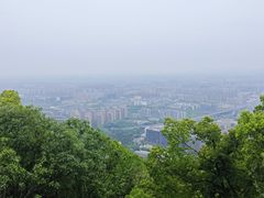 -杭州半山国家森林公园