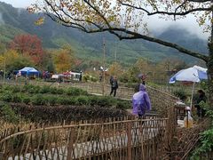 -塔川景区