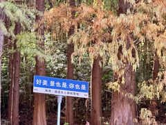 -上海海湾国家森林公园