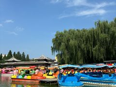 -团结湖公园