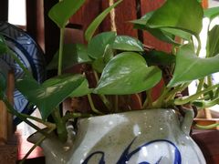 -信基豪泰酒店用品城