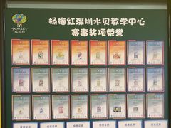 -杨梅红艺术教育(水贝教学中心)