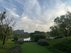 -洋湖国家湿地公园