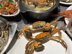 -鼎香缘海鲜自助火锅烤肉(锦辉购物广场店)