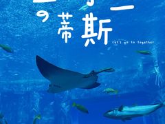 -三亚亚特兰蒂斯度假区