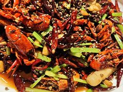 -京悦南门涮羊肉·羊蝎子火锅(田林路店)